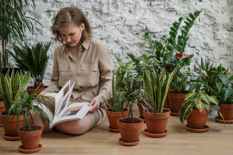 Indoor Gardening Activities : 8+ Tips How To Grow Plants, Flowers, Herbs In Your House ? (2022)