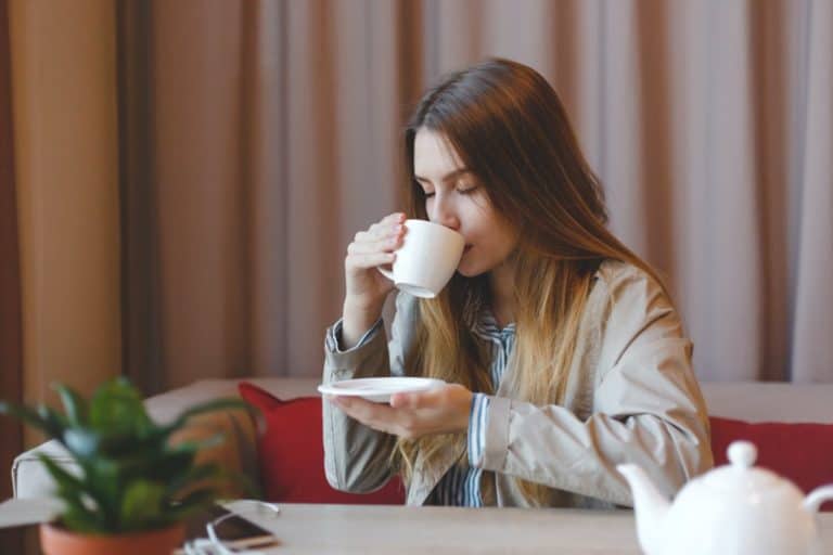 Basic Tea Guide For Beginners – How To Enjoy Tea?